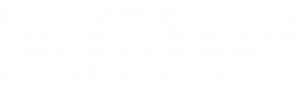 Mental Health Center white logo